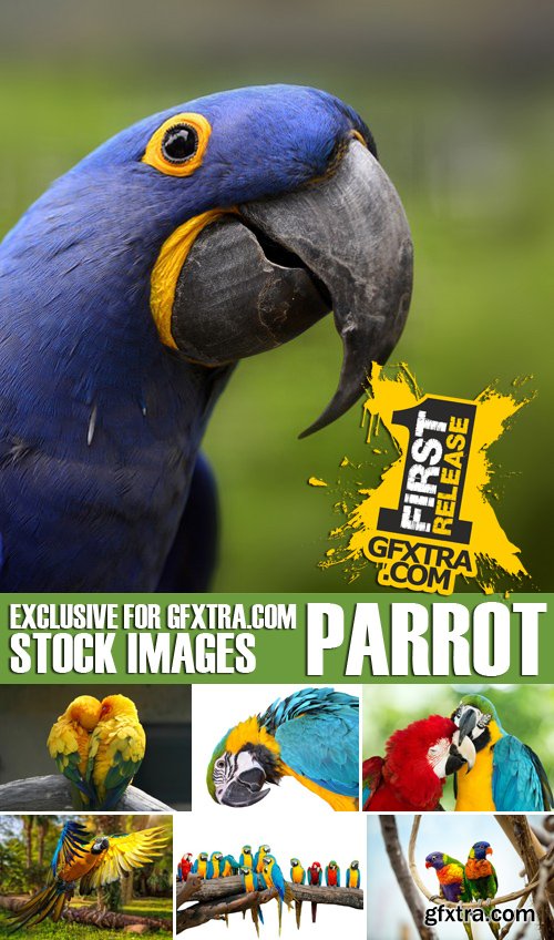 Stock Photos - Parrot, 25xJPG