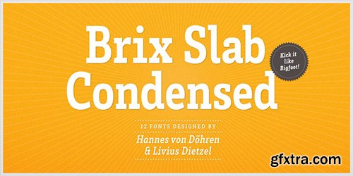 Brix Slab CondensedFont Family - 12 Font $480
