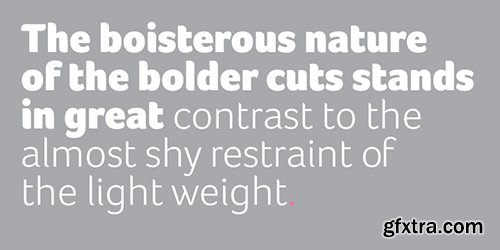 Foco Font Family - 8 Fonts $648