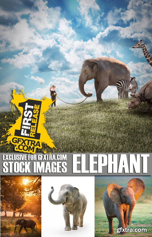 Stock Photos - Elephant, 25xJPG Stock Photos - Elephant, 25xJPG