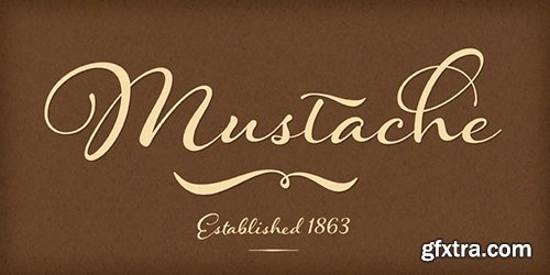 Hummingbird Font - 2 Font $78