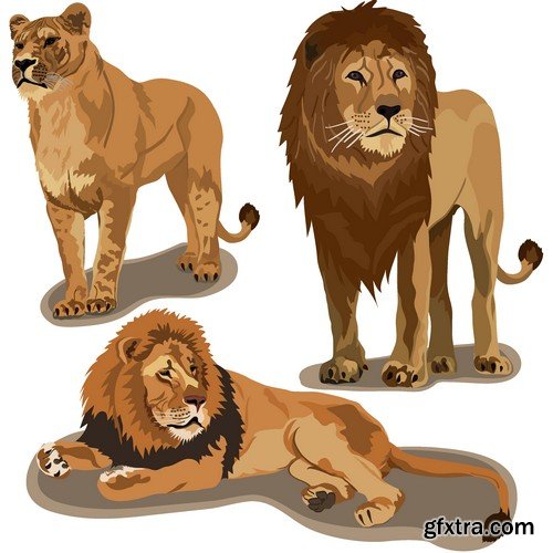 Stock Vectors - Lion, 25xEPS Stock Vectors - Lion, 25xEPS