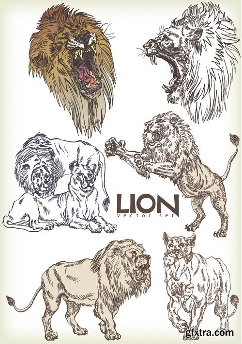 Stock Vectors - Lion, 25xEPS Stock Vectors - Lion, 25xEPS