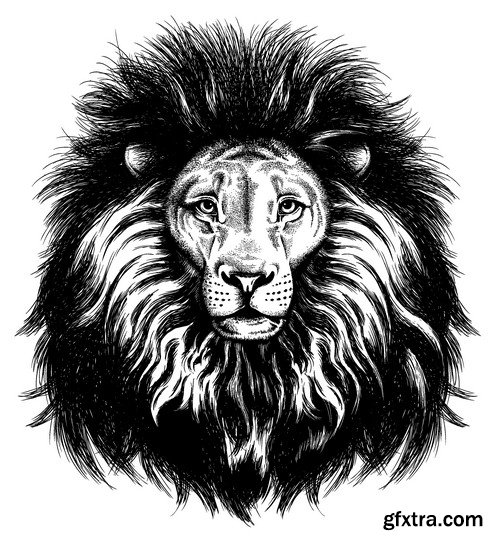 Stock Vectors - Lion, 25xEPS Stock Vectors - Lion, 25xEPS