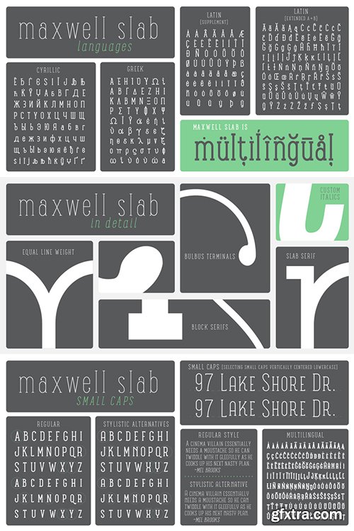Maxwell Slab Font Family - 20 Font $240