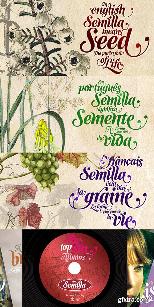 Semilla - Signmaking Script OTF