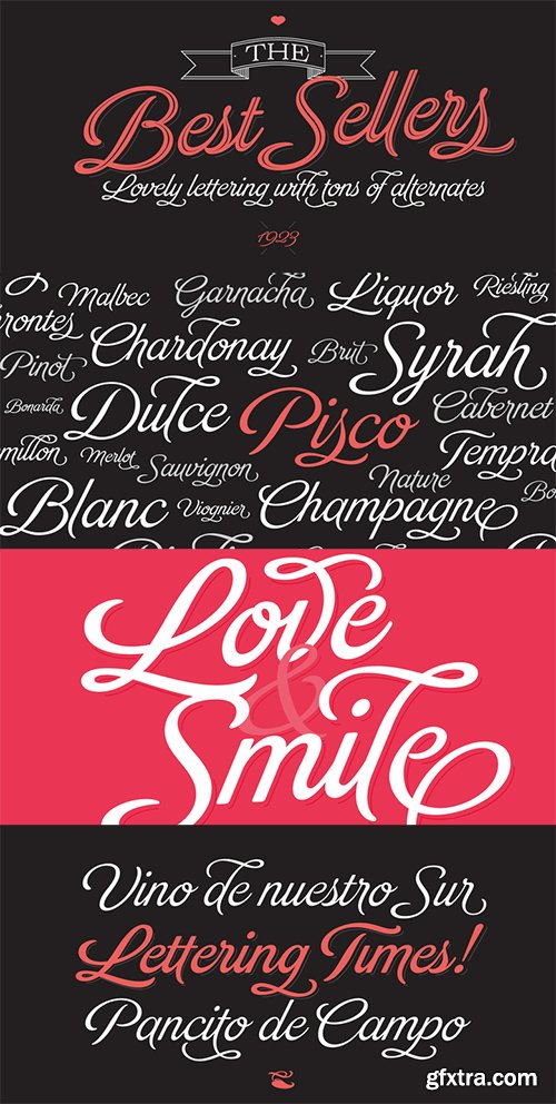 Brand Font Family - 11 Fonts $278