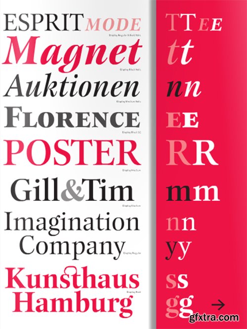 ITC New Esprit Pro Font Family - 32 Font $1728