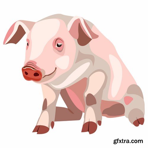Pig vector,25x EPS Pig vector,25x EPS
