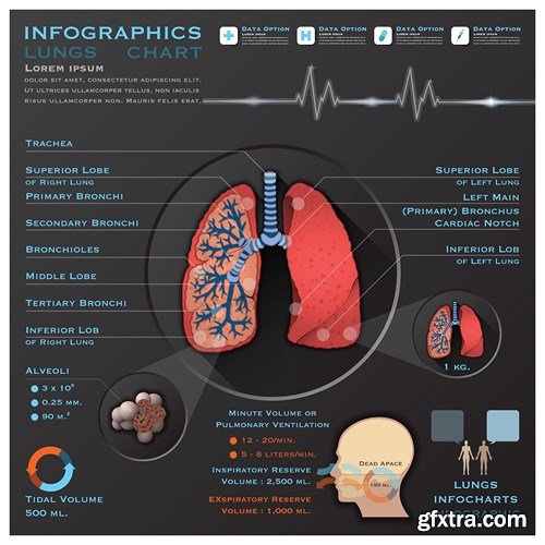 Medical Infographics, 25xEPS