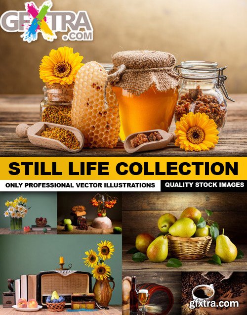 Still Life Collection - 25 HQ Images