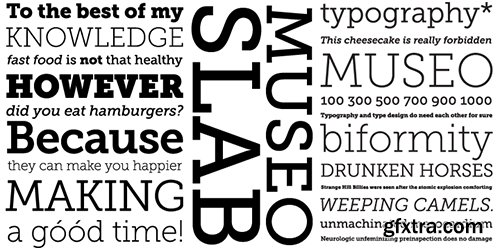 Museo Font Family - 27 Font $445