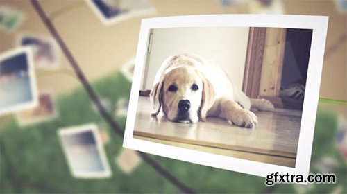 Videohive Picture Tree Photo Gallery 6272860