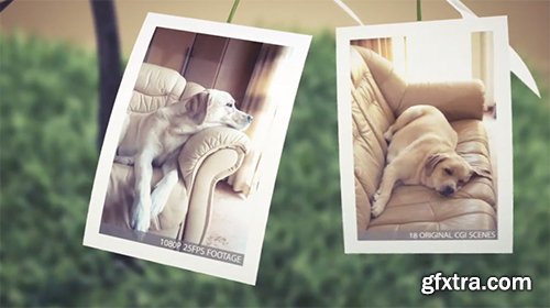 Videohive Picture Tree Photo Gallery 6272860