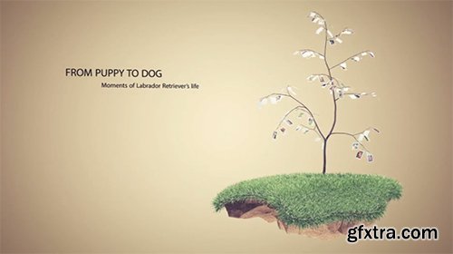 Videohive Picture Tree Photo Gallery 6272860