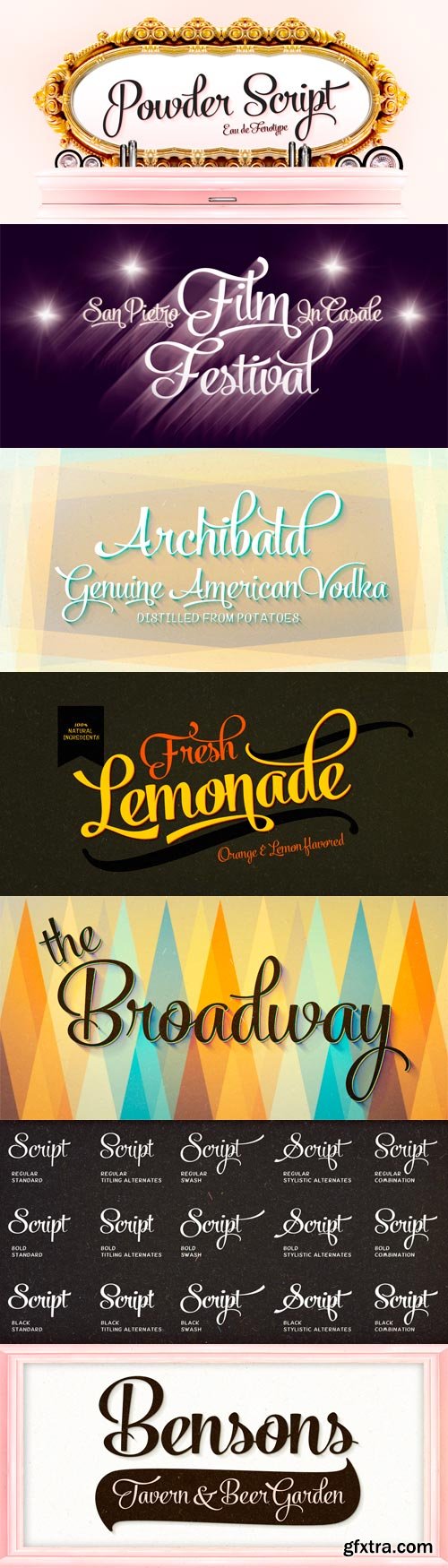 Powder Script Font Family - 5 Fonts for $65