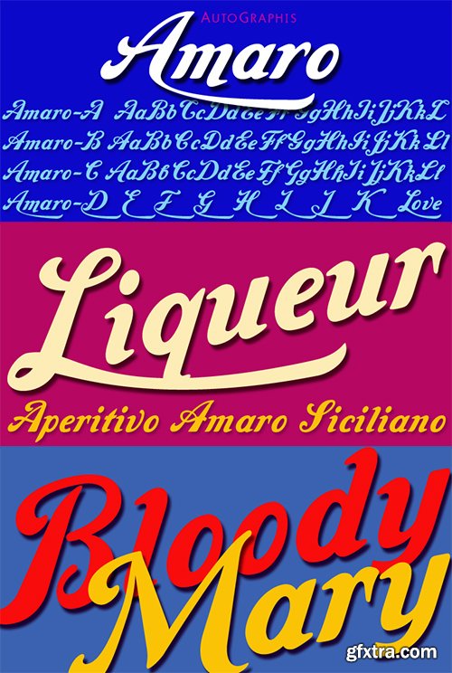 Amaro Font Family - 4 Fonts $160