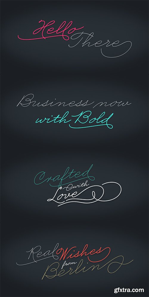 Business Penmanshipt Font - 1 Font 79$