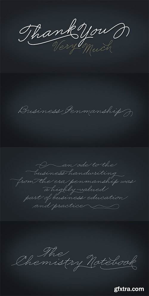 Business Penmanshipt Font - 1 Font 79$