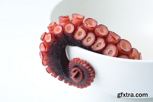 Stock Photos - Octopus, 25xJPG