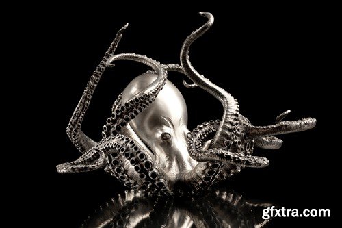 Stock Photos - Octopus, 25xJPG