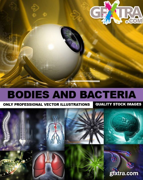 Bodies and Bacteria - 25 HQ Images