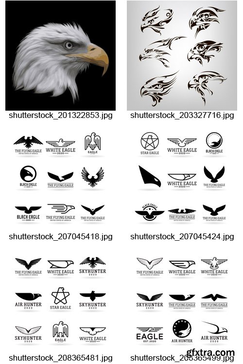 Amazing SS - Eagle Symbols, 25xEPS
