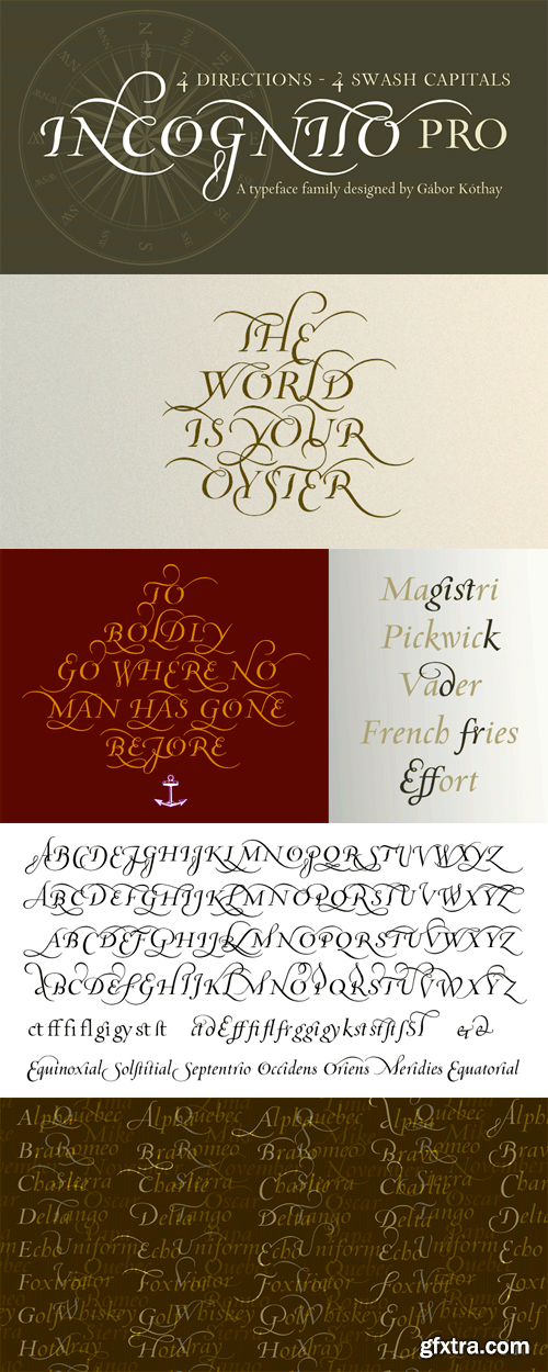 Incognito Pro Font Family - 3 Fonts for $250 Incognito Pro Font Family - 3 Fonts for $250