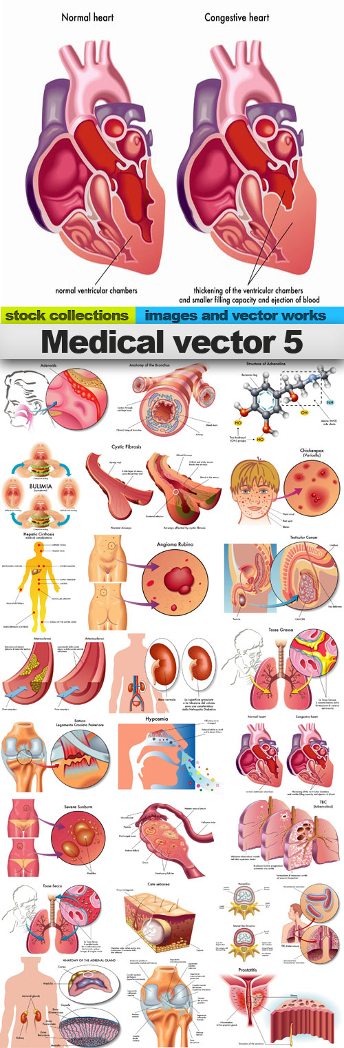 Medical vector 5,25 x EPS