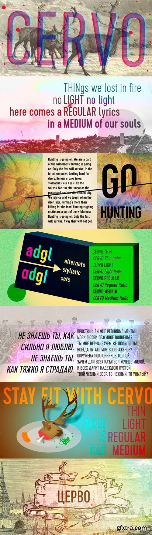 Cervo Font Family - 8 Fonts for $120