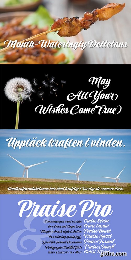 Praise Font Family - 7 Font $280