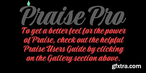 Praise Font Family - 7 Font $280