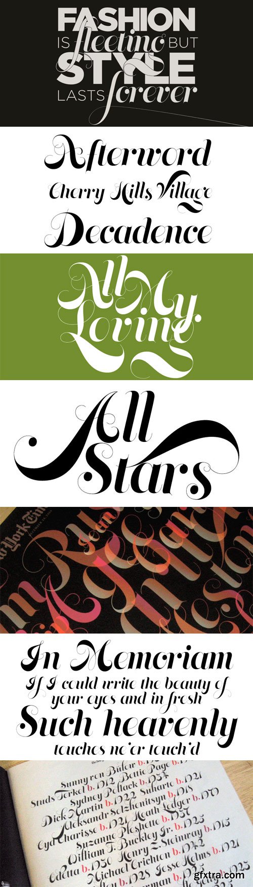 Memoriam Font Family - 4 Fonts for $50 Memoriam Font Family - 4 Fonts for $50