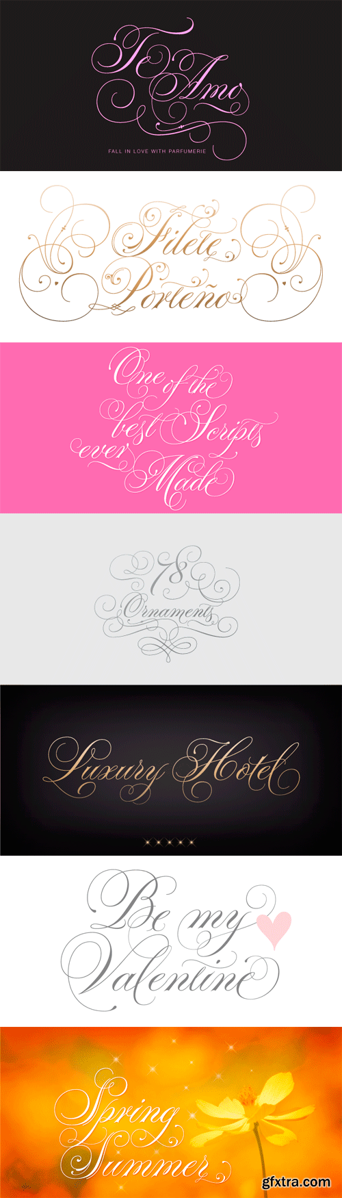 Parfumerie Script Pro Font Family - 6 Fonts for $170