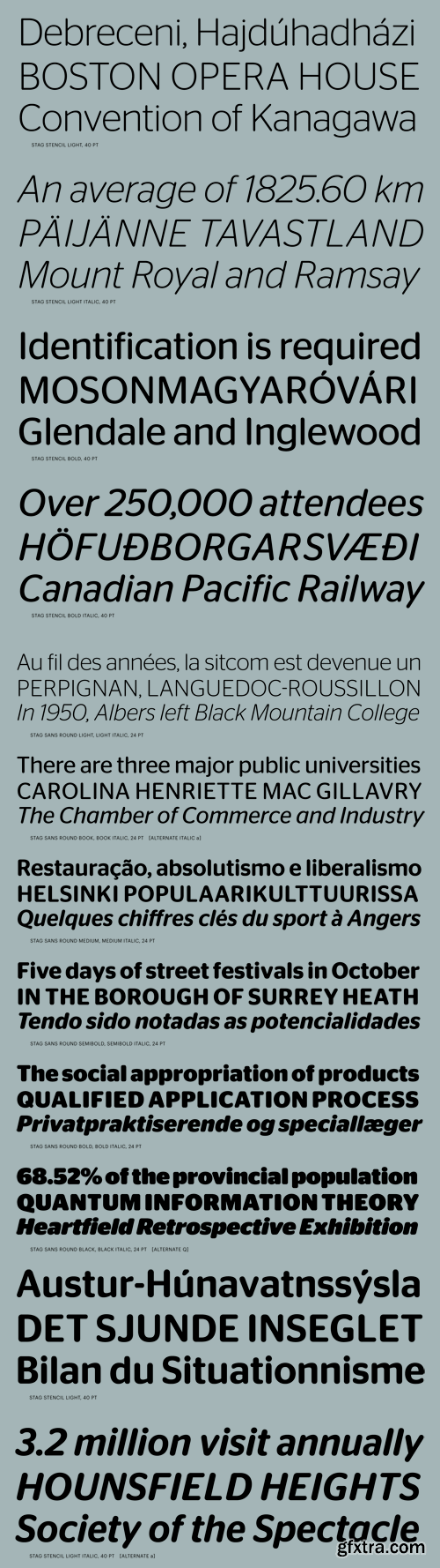 Stag Sans Round Font Family 12 Fonts for 275 » GFxtra