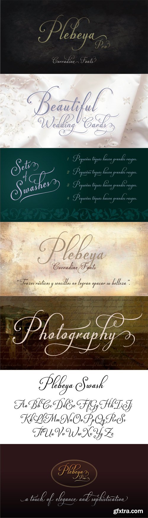 Plebeya Font Family - 4 Fonts for $120