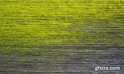 Extra Details 25xJPG