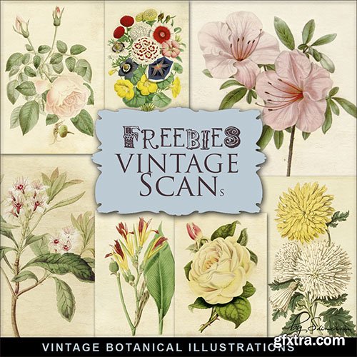 Scrap-kit - Vintage Botany Illustrations 2014 - 4
