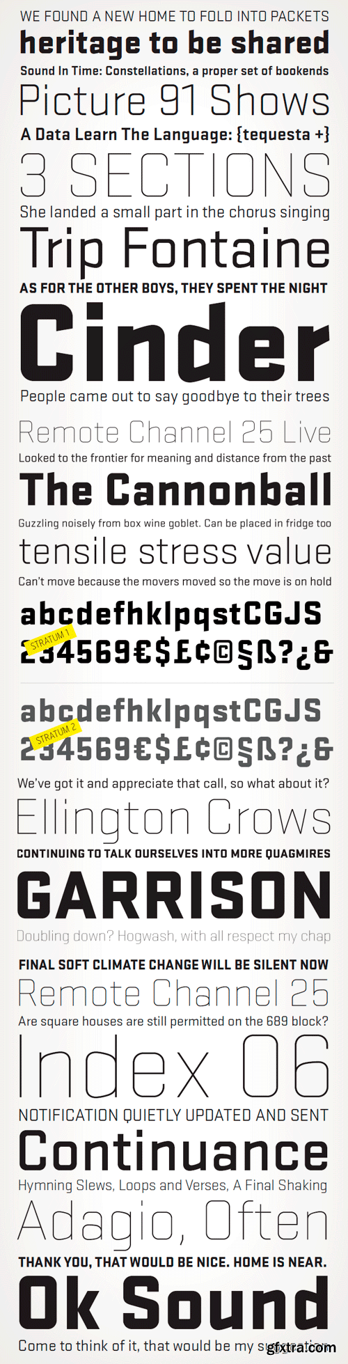 Stratum 1 &amp; 2 Fonts Family - 12 Fonts for $179