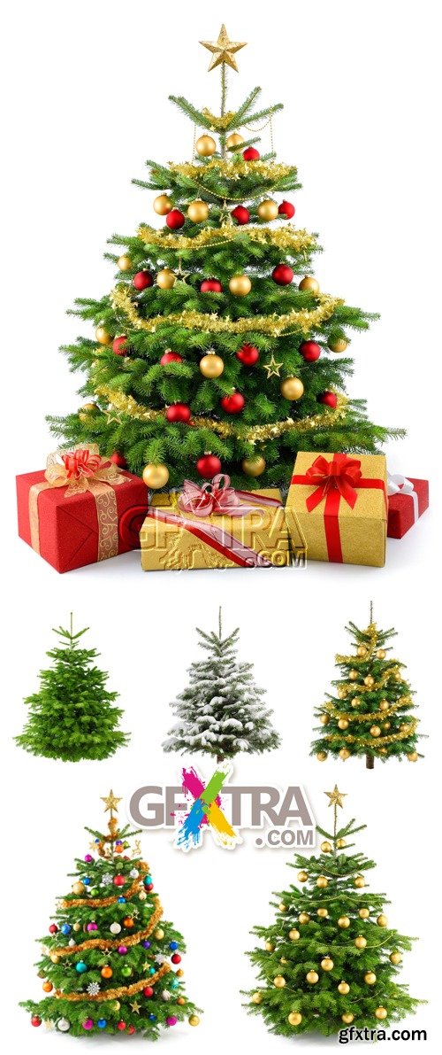 Stock Photo - Christmas Tree Isolated 2
