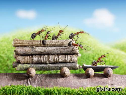 Ant Tales #1 - Conceptual Photo Art 25xJPG