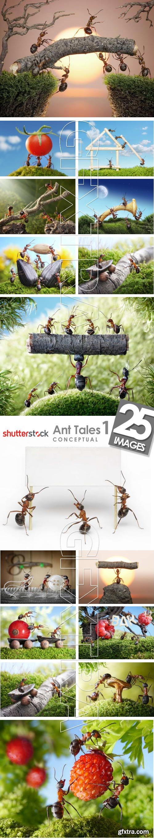 Ant Tales #1 - Conceptual Photo Art 25xJPG