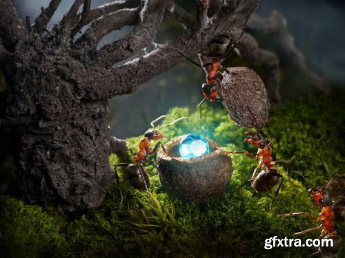 Ant Tales 2 - Conceptual Photo Art 25xJPG Ant Tales 2 - Conceptual Photo Art 25xJPG