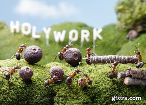 Ant Tales 2 - Conceptual Photo Art 25xJPG Ant Tales 2 - Conceptual Photo Art 25xJPG