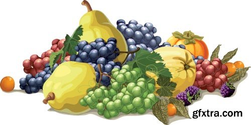 Quince Vectors &amp; Photos 9xEPS, 16xJPG