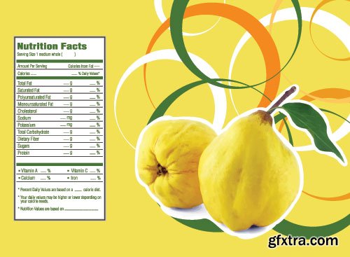 Quince Vectors &amp; Photos 9xEPS, 16xJPG