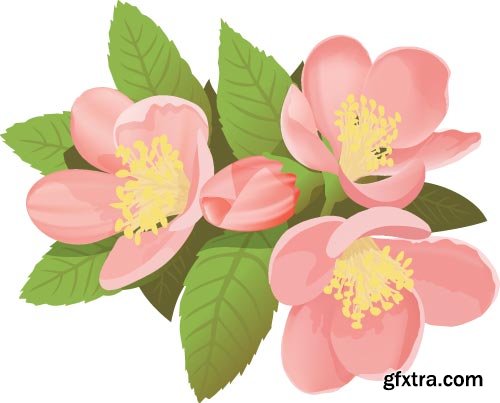 Quince Vectors &amp; Photos 9xEPS, 16xJPG