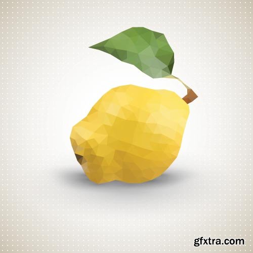 Quince Vectors &amp; Photos 9xEPS, 16xJPG