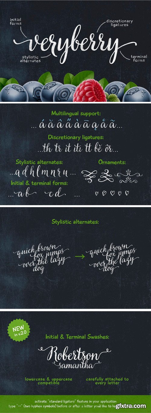 Veryberry Script Font for $25