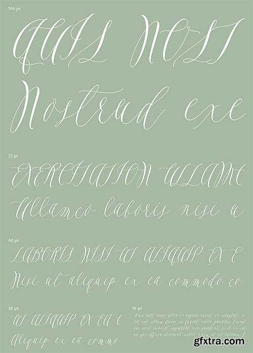 Feast Calligraphy Style OTF $40